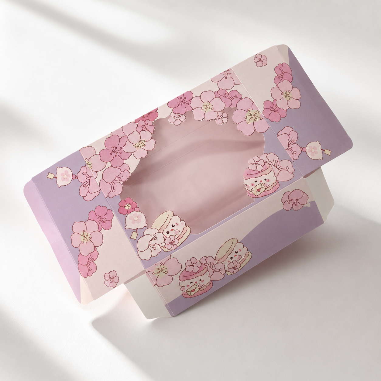 Macaron Cake Box