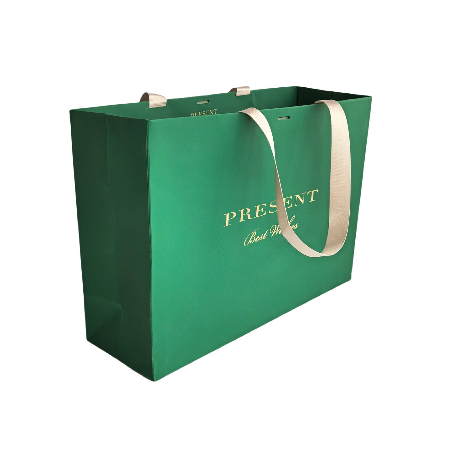 Green Luxury Paper Bag
