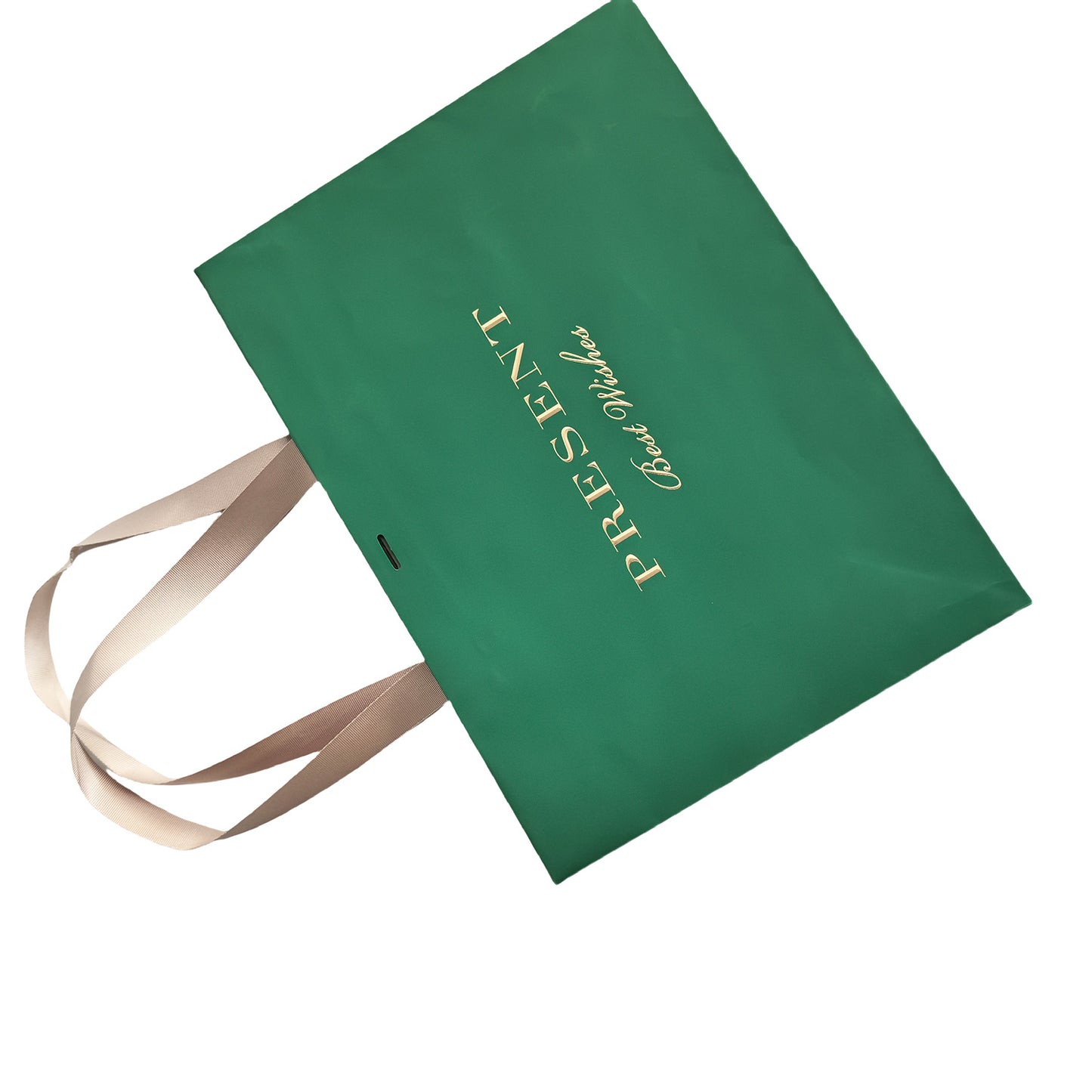 Green Luxury Paper Bag