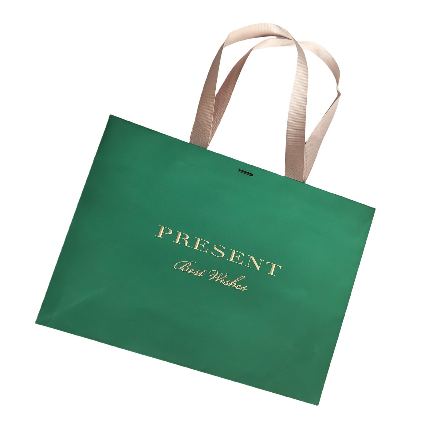 Green Luxury Paper Bag