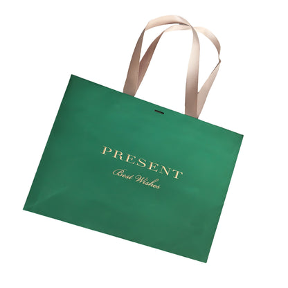 Green Luxury Paper Bag
