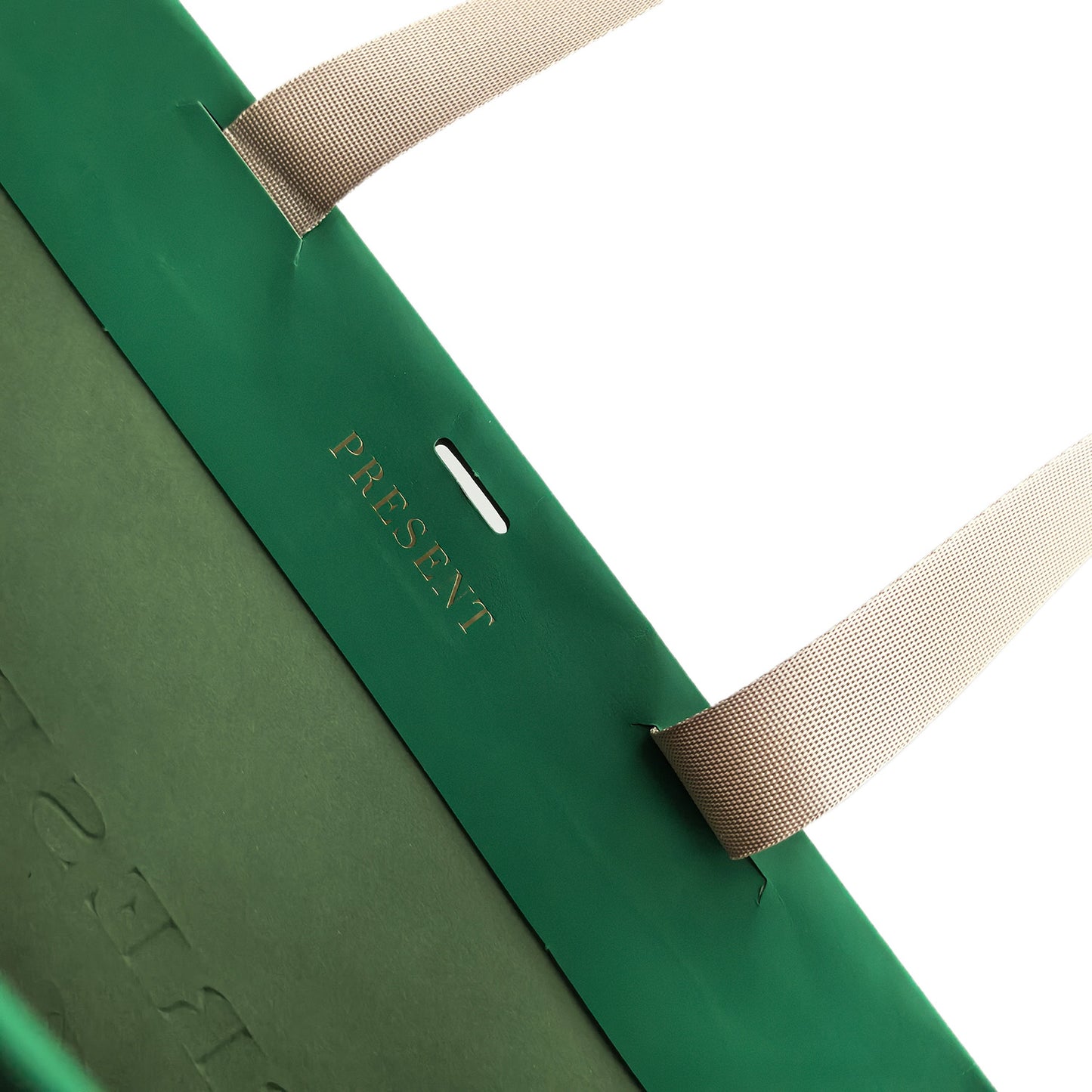 Green Luxury Paper Bag
